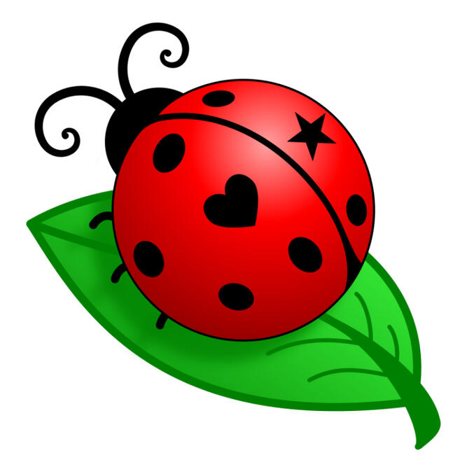 Ladybug Events