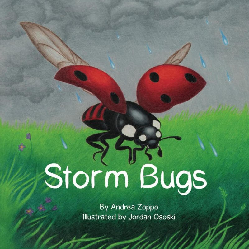 Storm Bugs Children's Book